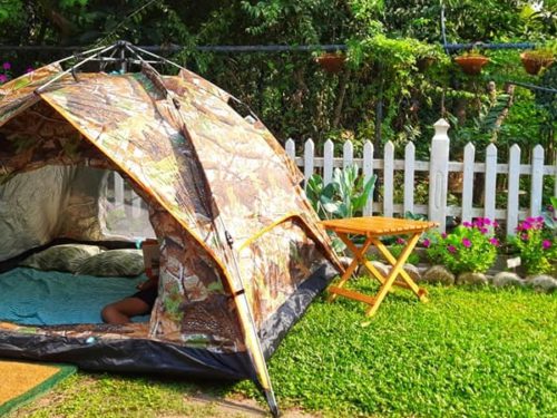 6 Backyard Camping Tips